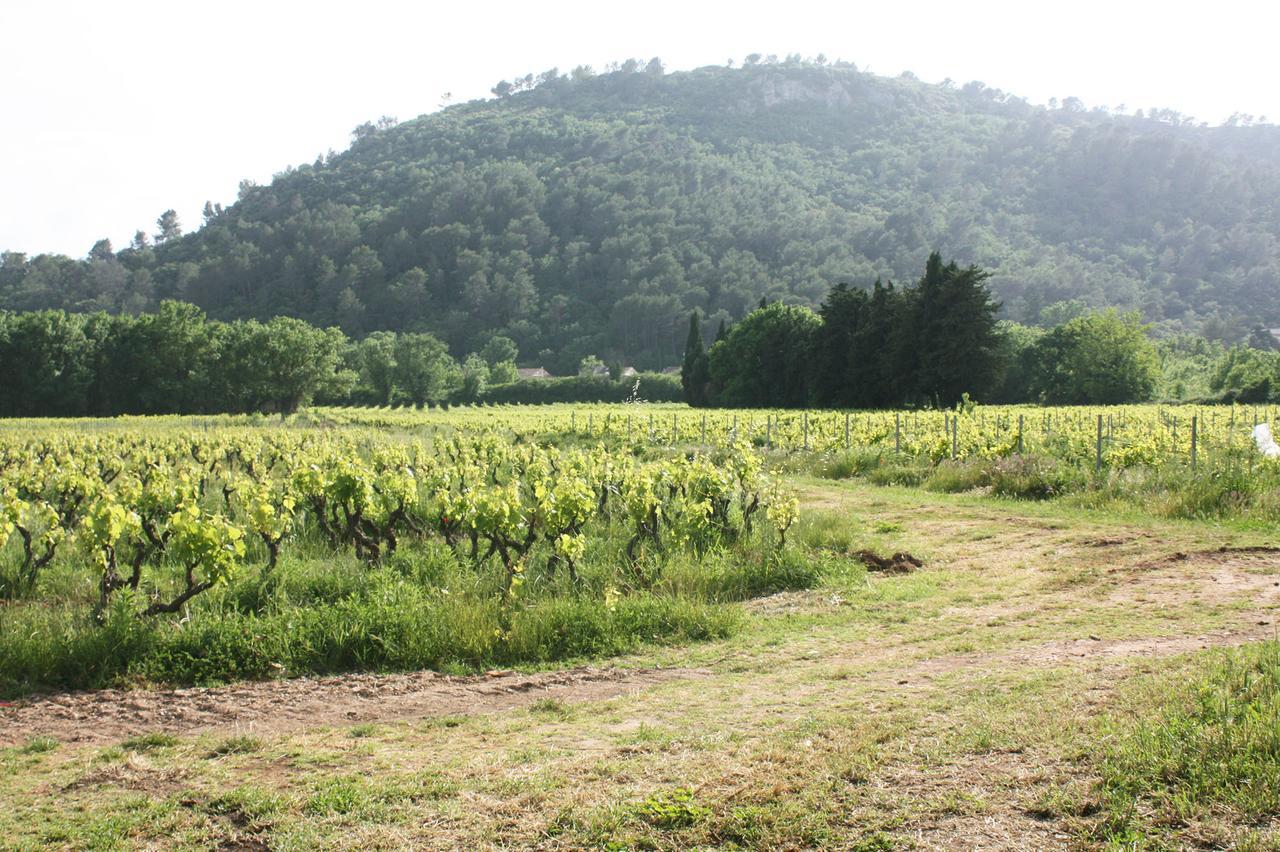 Domaine Regis Freres Bed & Breakfast Vidauban Eksteriør bilde